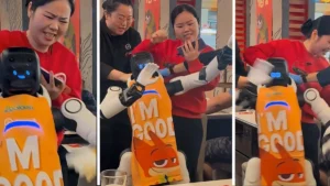 Dancing Robot Incident at California Restaurant Raises Safety Concerns